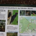 Gårslev og Gauerslund skove 2019